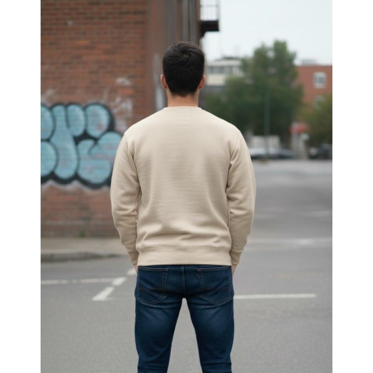 Smooth febric full sleeve sweatshirt Plane