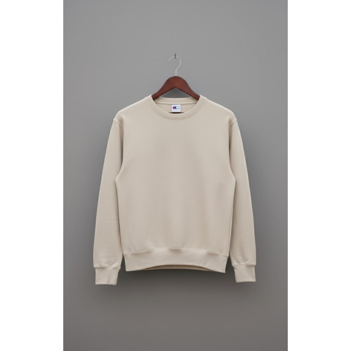 Smooth febric full sleeve sweatshirt Plane